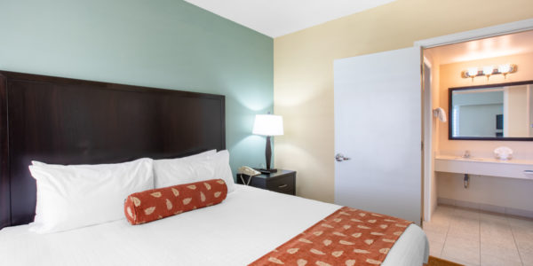 master bedroom with attached bathroom