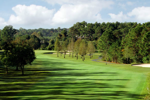 Lake Buena Vista Golf - Lake Buena Vista Resorts