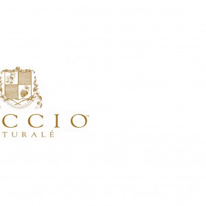 Lake Buena Vista Resort Village & Spa-Curccio logo