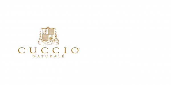 Lake Buena Vista Resort Village & Spa-Curccio logo