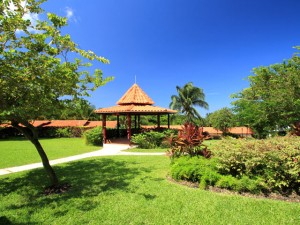 Sugar Cane Hotel & Spa - Caribbean Resort